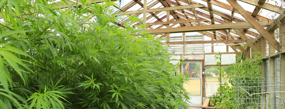 Security Solutions for Apartments in Longview, TX